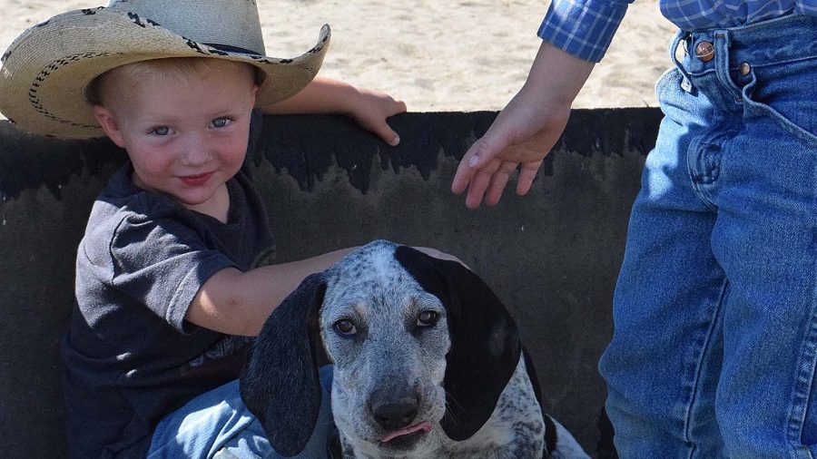 Kids and hound dogs on the ranch
