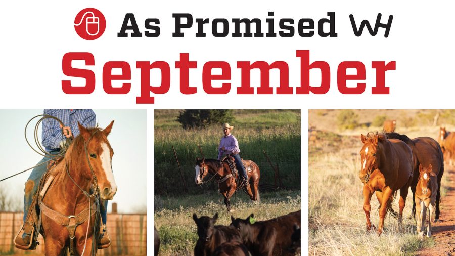 October 2020 western horseman magazine promised content
