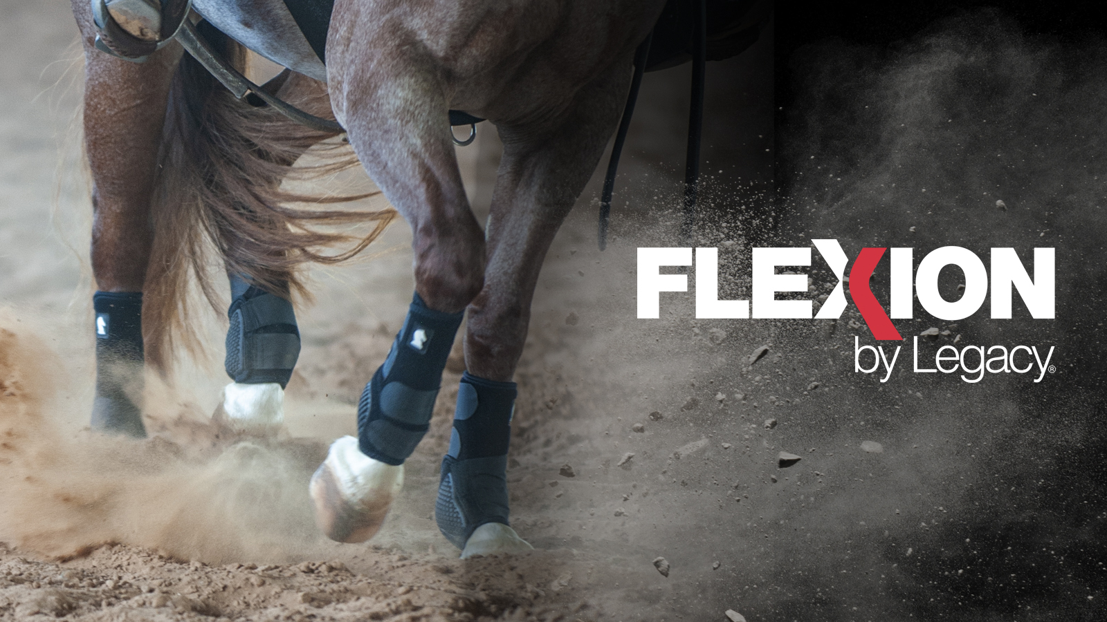Classic Equine Flexion
