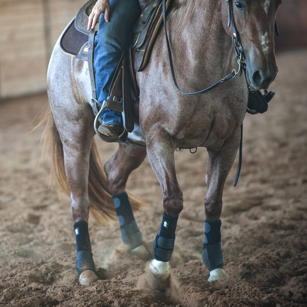 Classic Equine Flexion