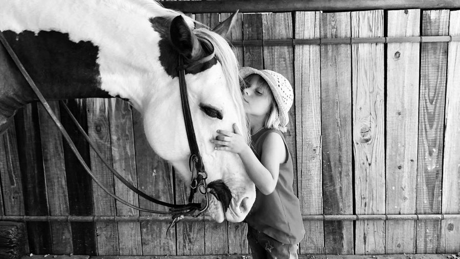 a child's horse