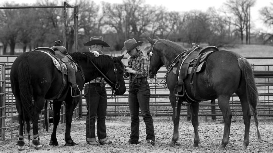 Horse owners