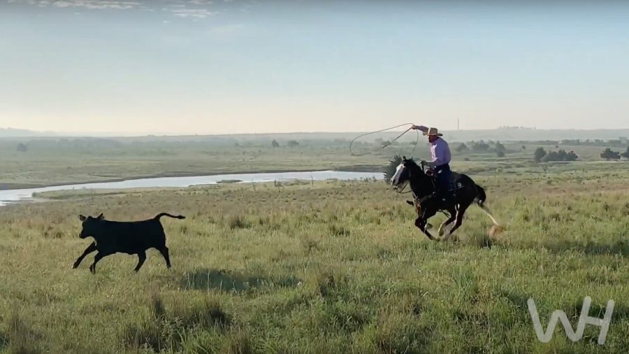 Miles Baker riding a young horse outside the arena