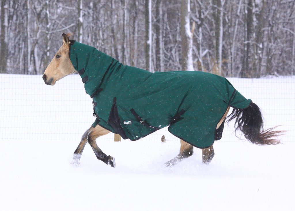tough 1 turnout blanket