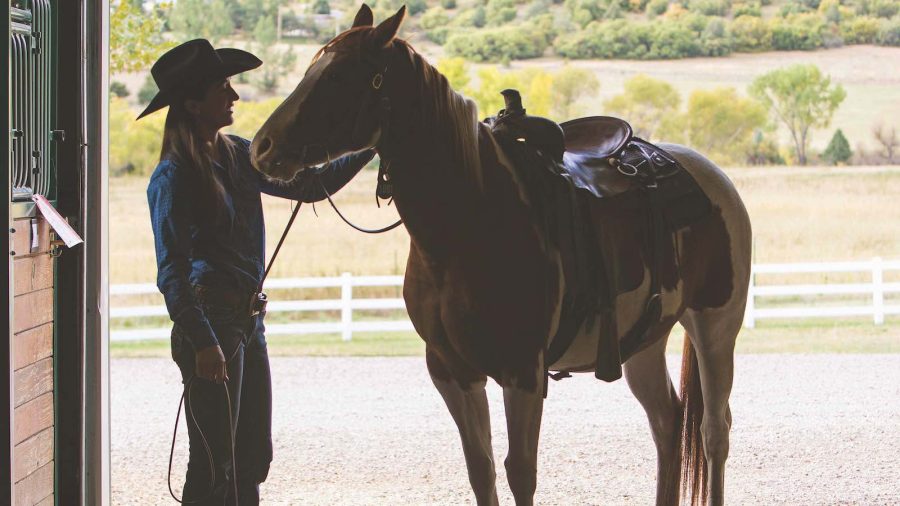 woman evaluation horse's body condition