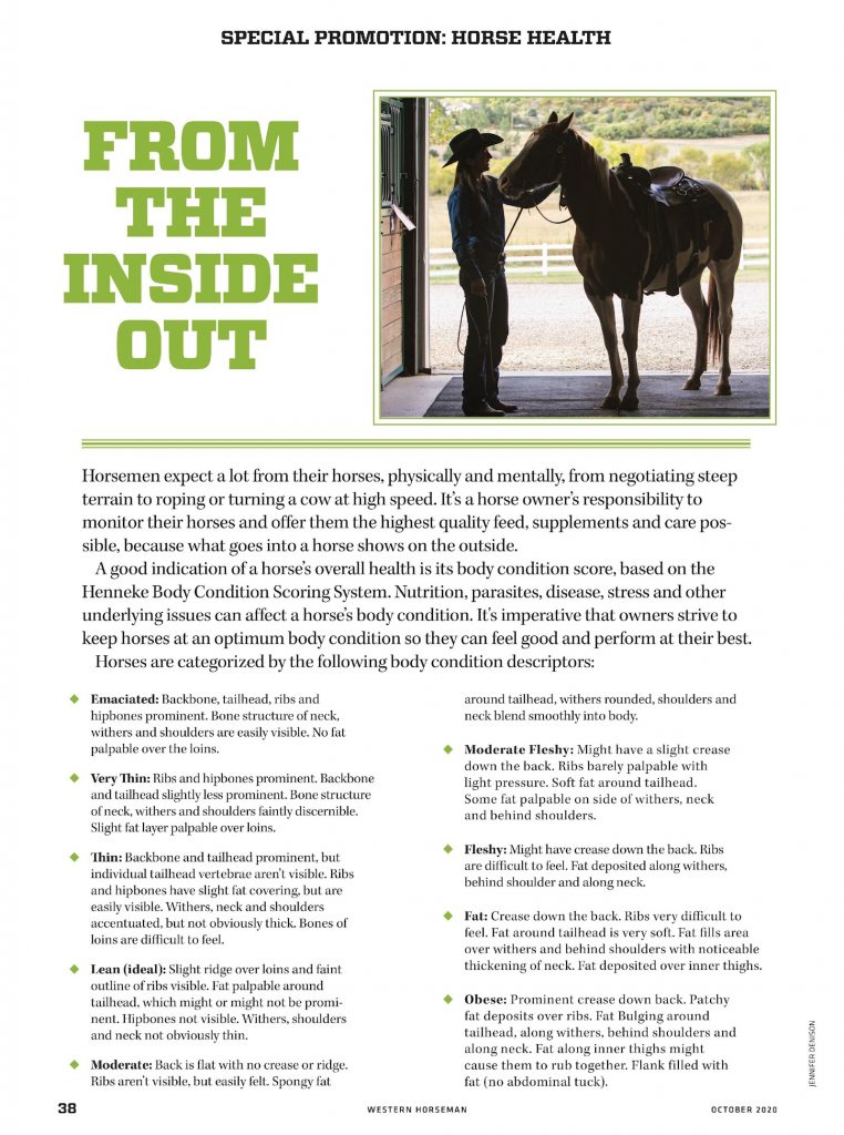 body condition scoring guide from western horseman special promotion section