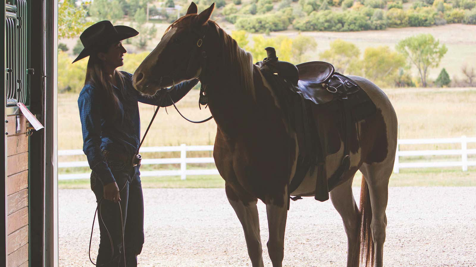 woman evaluation horse's body condition