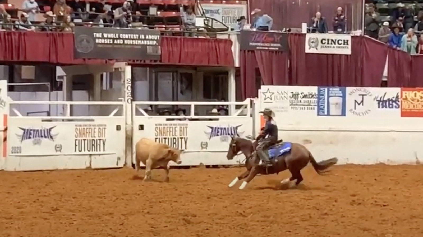 Sarah Dawson competing in the cow work at the Snaffle Bit Futurity