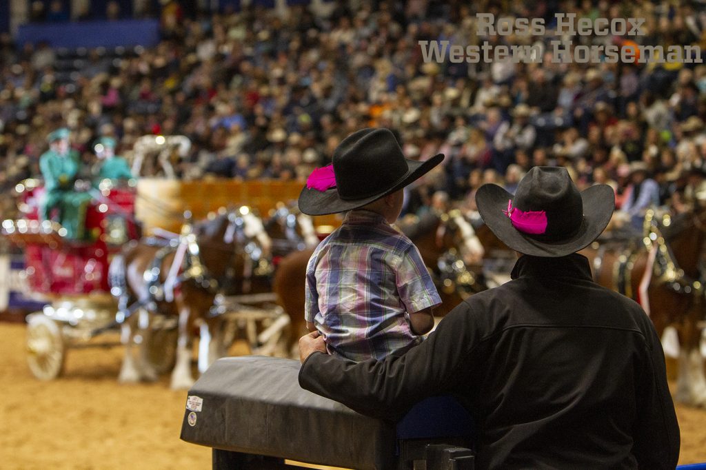Cowboys watch the Budweiser Clydesdales