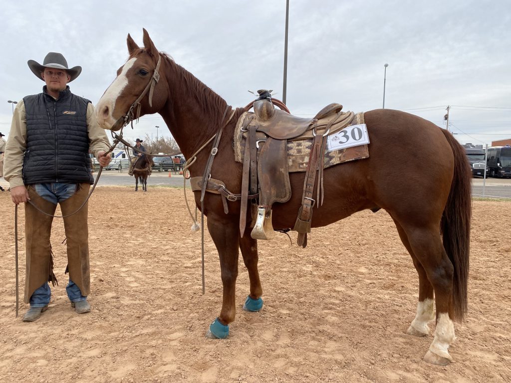 WRCA Top Horse contender Helmer