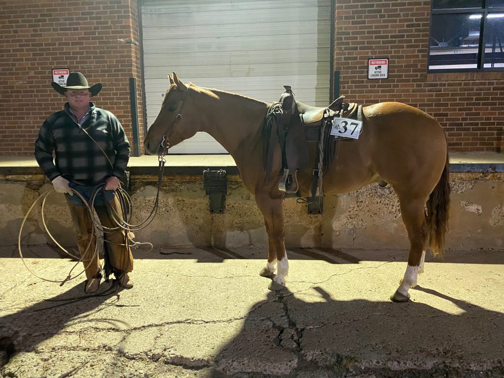 WRCA Top Horse contender Win And Your In