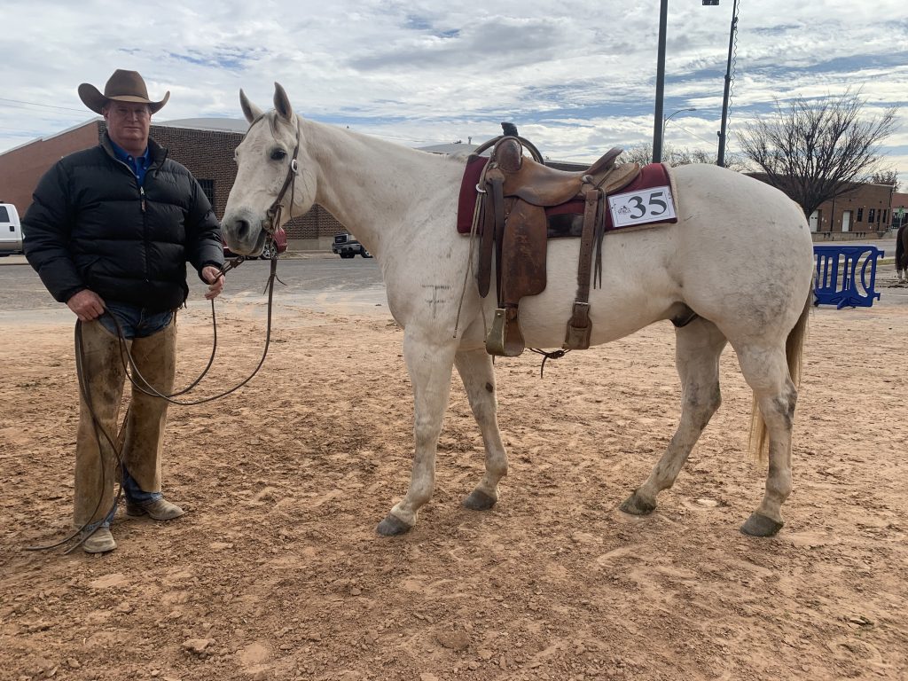 WRCA Top Horse contender Mr TLC Paddy Three