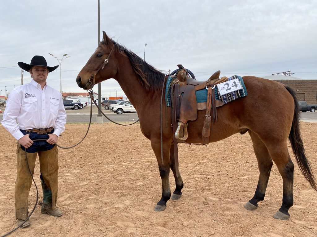 WRCA Top Horse contender Badlands Oak Digger