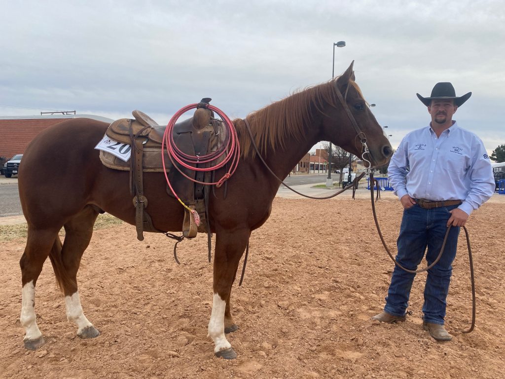 WRCA Top Horse contender Bo