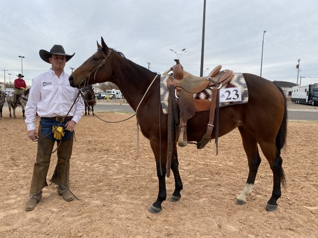 WRCA Top Horse contender Dueces Jet Frost