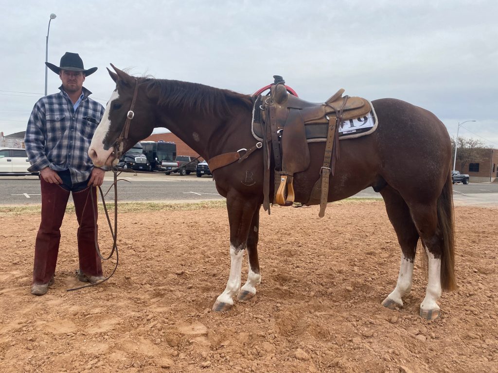 WRCA Top Horse contender Felix The First