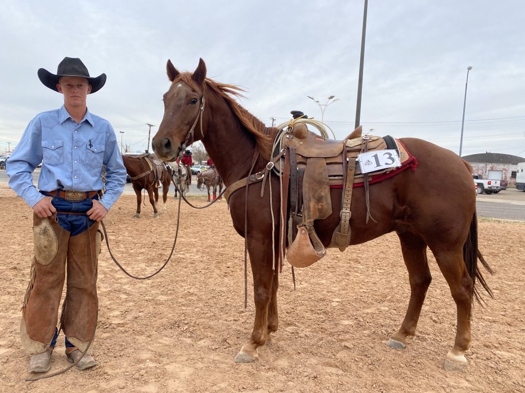 WRCA Top Horse contender Haidaslittleleoto