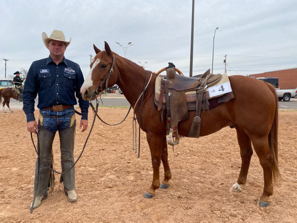 WRCA Top Horse contender HL This Cats Playful