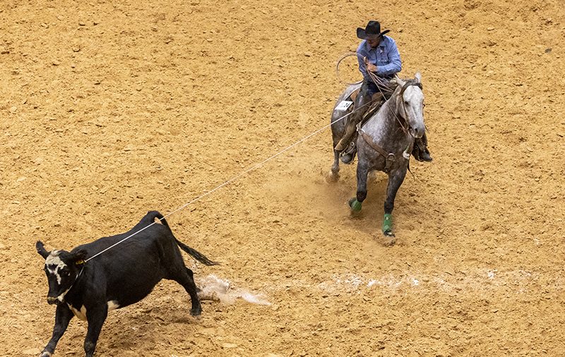 Cowboys compete at the World Champsionship Ranch Rodeo