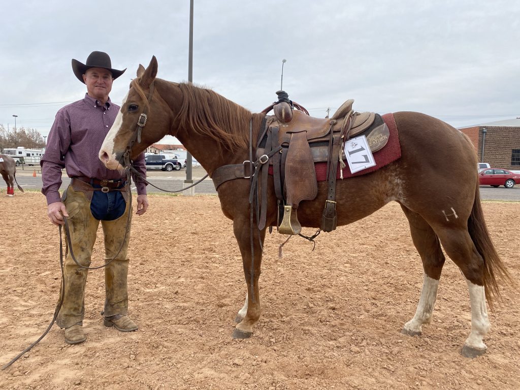 WRCA Top Horse contender Moleo Rondo Nocharge
