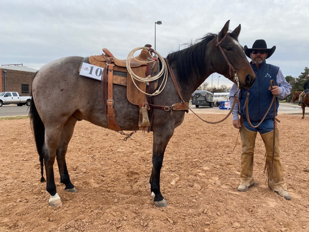 WRCA Top Horse contender Moms Got It Goin On