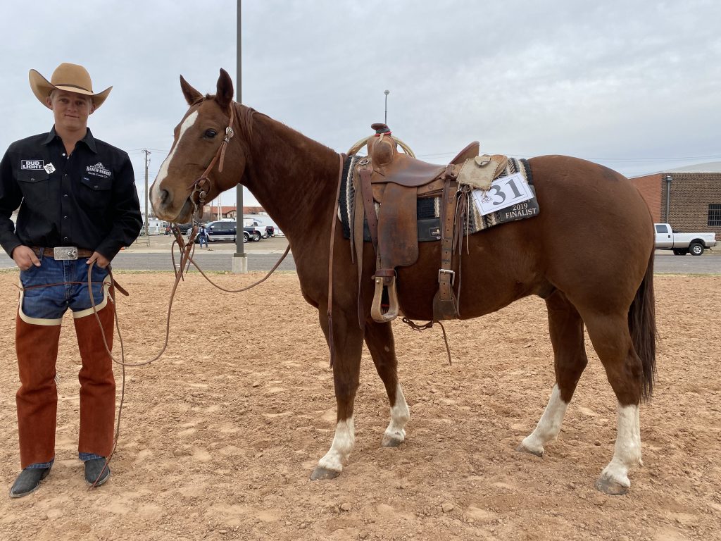 WRCA Top Horse contender Rowdy Metallic
