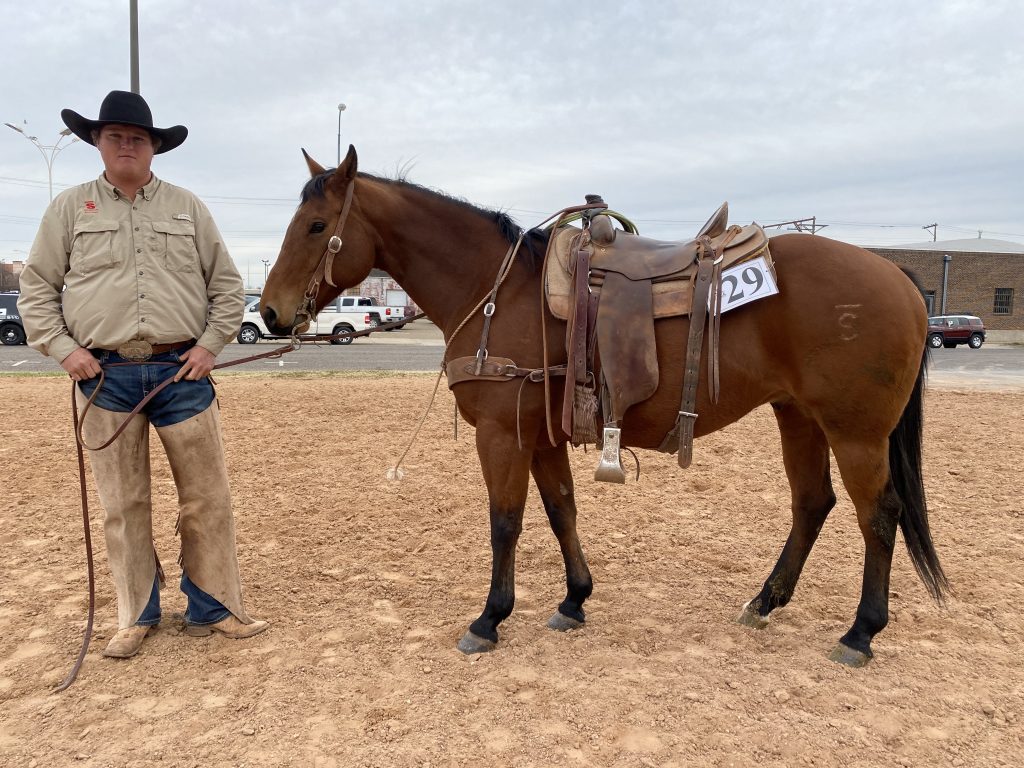WRCA Top Horse contender SCR Cat Flit