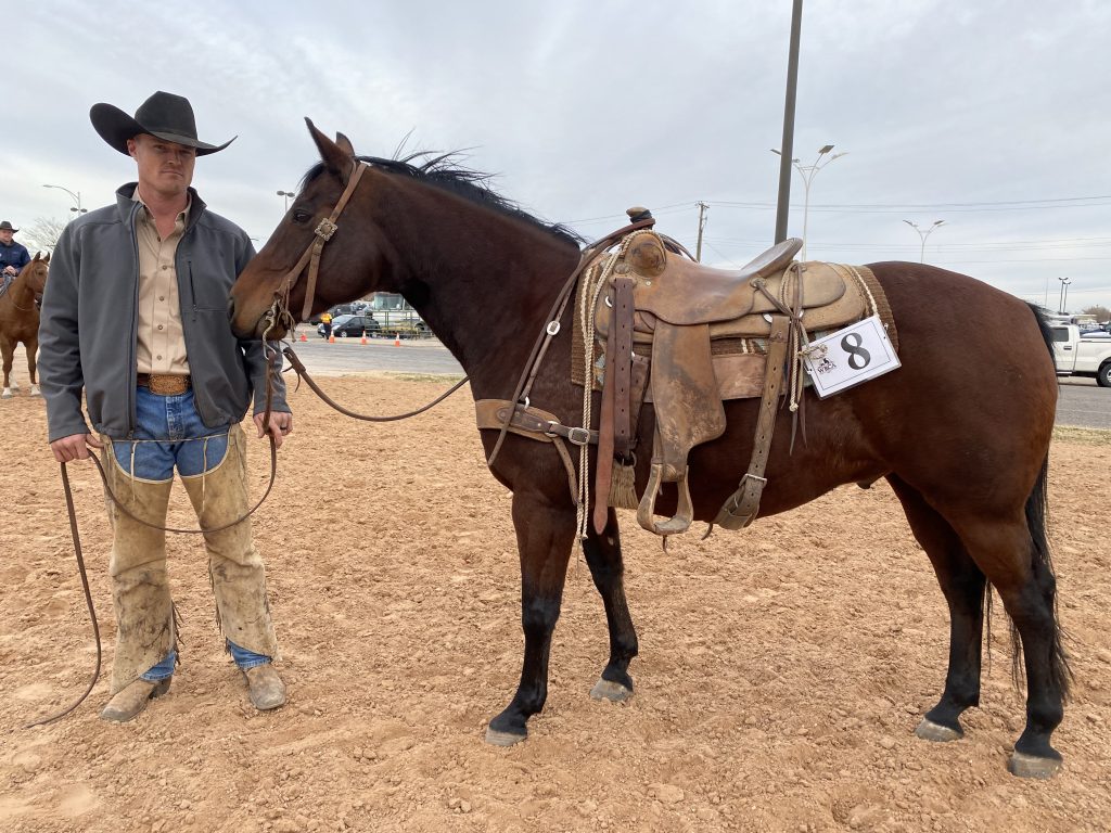 WRCA Top Horse contender Shake It Lucchese