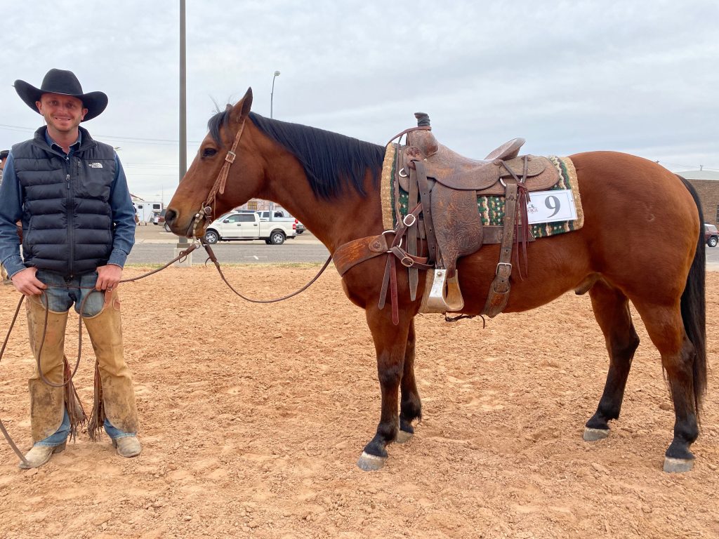 WRCA Top Horse contender Smooth Cat Feathers