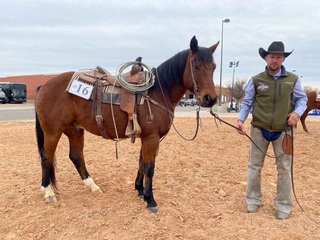 WRCA Top Horse contender Swing My Dues