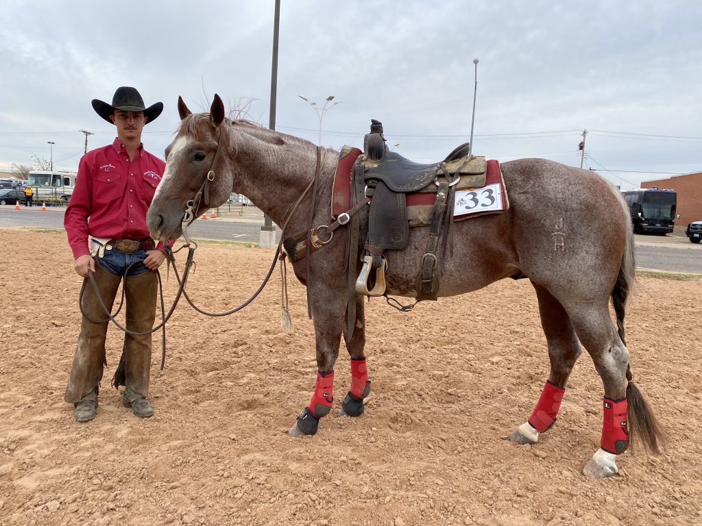 WRCA Top Horse contender Tin Soldier