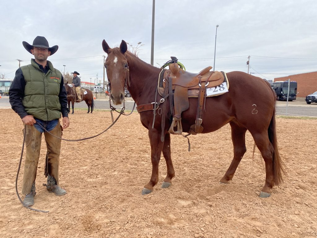 WRCA Top Horse contender Toys Jerry Maxi