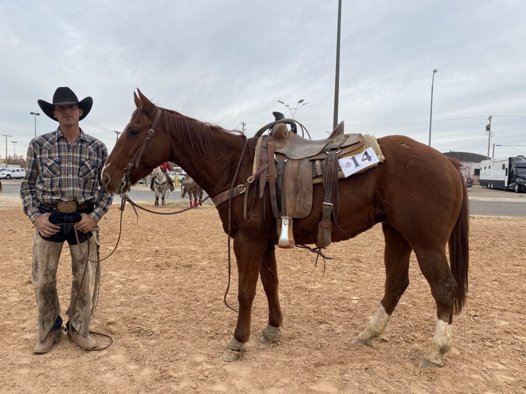 WRCA Top Horse Contender WF Pachuckos Fanny