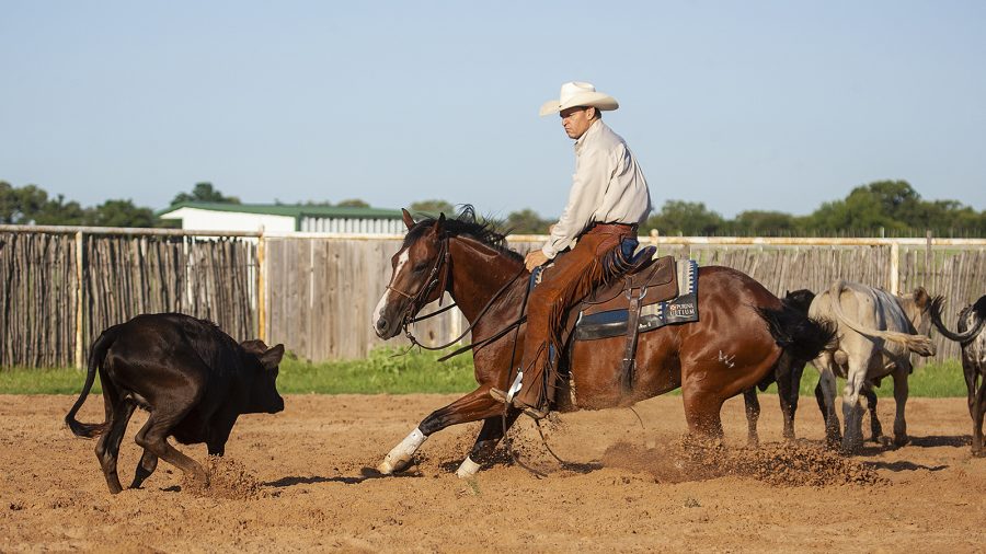 Cory Pounds trains cutting horses