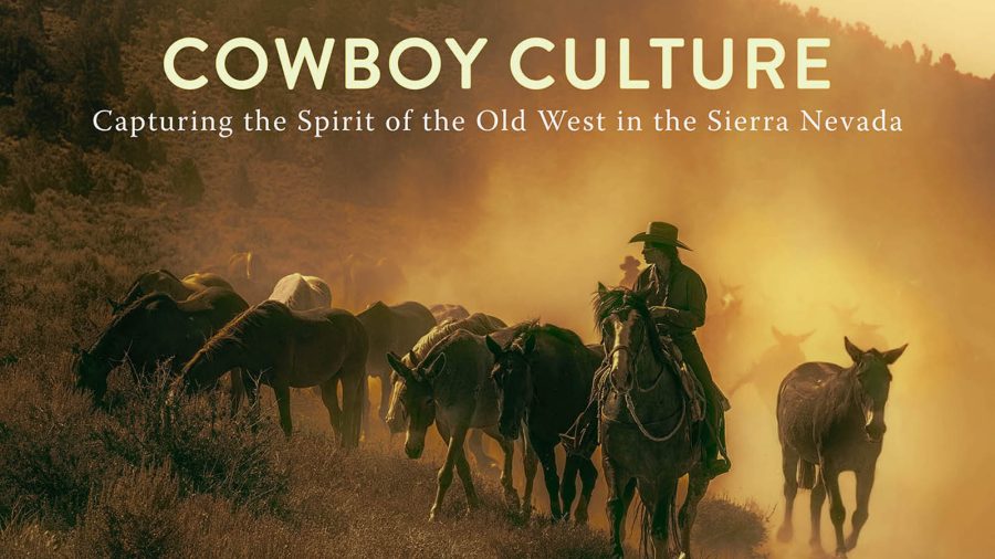 New book by Sandy Powell