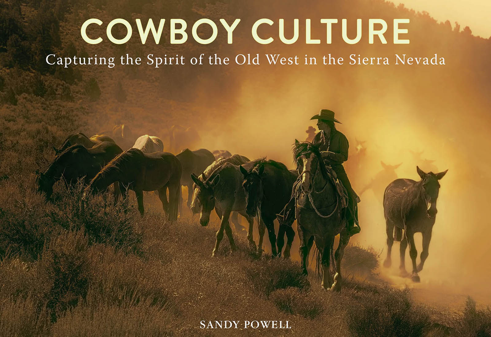 New book by Sandy Powell