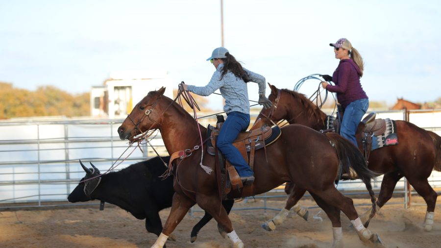 Jackie Crawford and Erin Taormino roping steers.