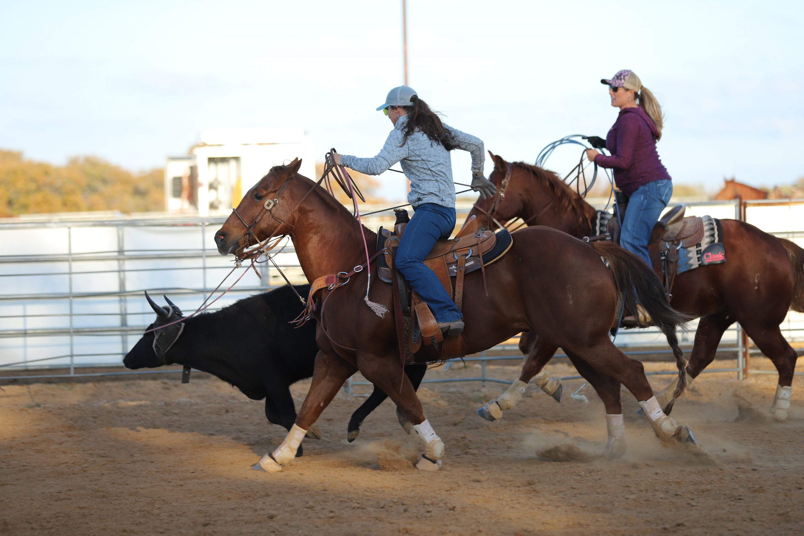 Jackie Crawford and Erin Taormino roping steers.