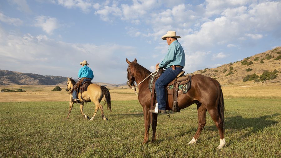 Ken McNabb redirects herd bound horse