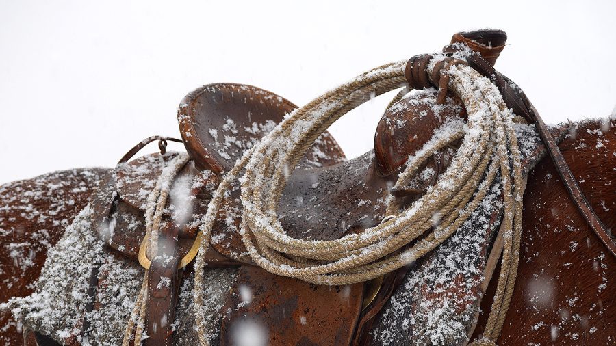 Saddle in the snow