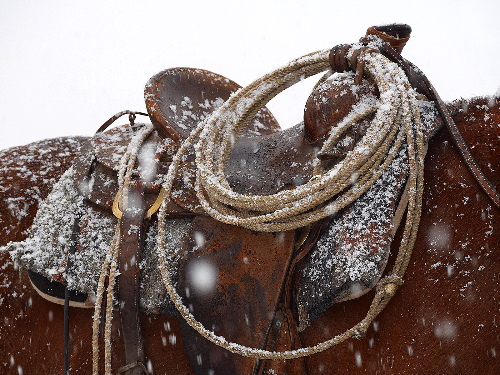 Saddle in the snow