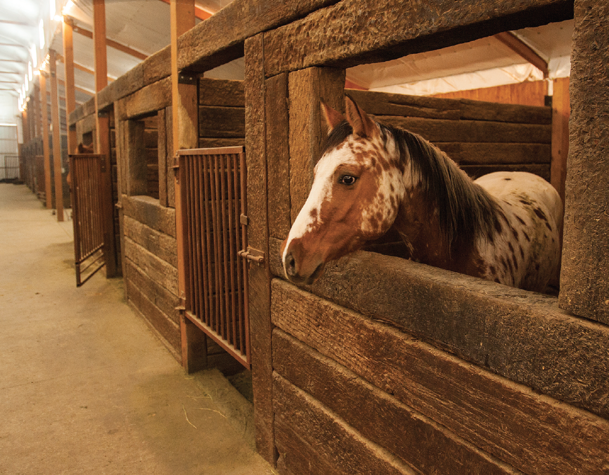 heavy duty stalls
