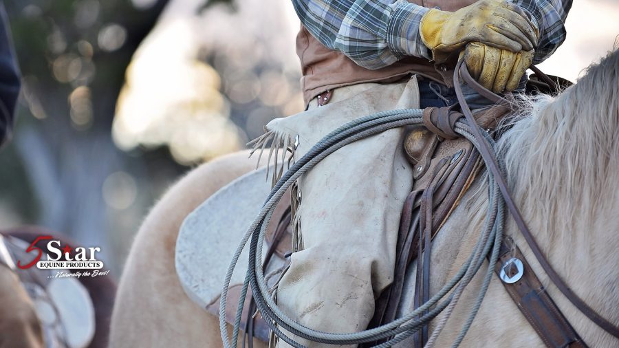 5 Star saddle pads