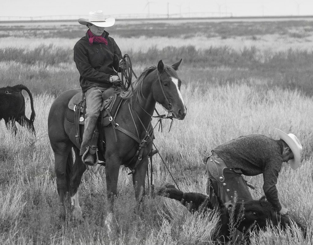Wild rags are a functional part of a cowboy's attire