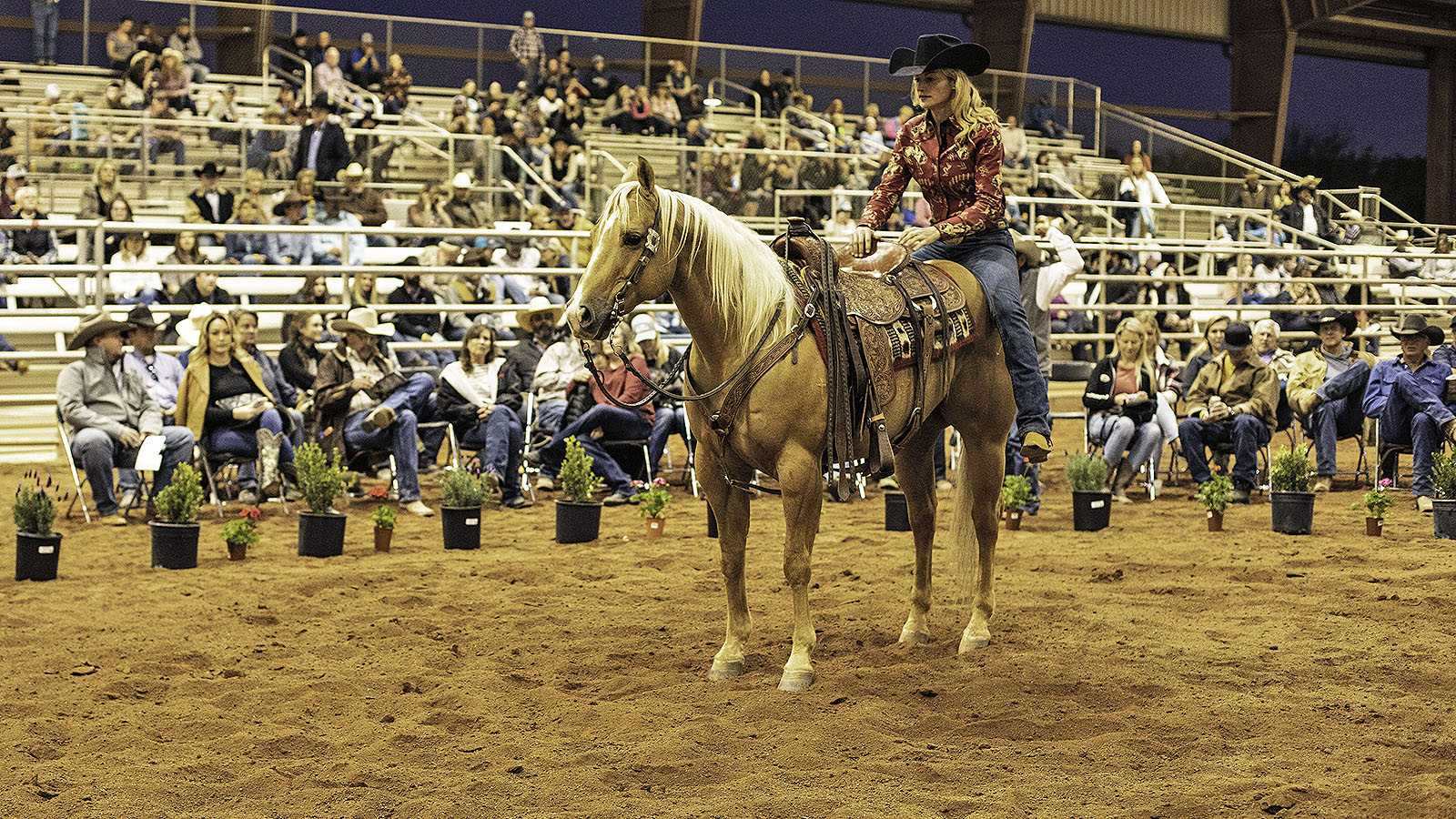 Sarah McKibben shows off her sale horse