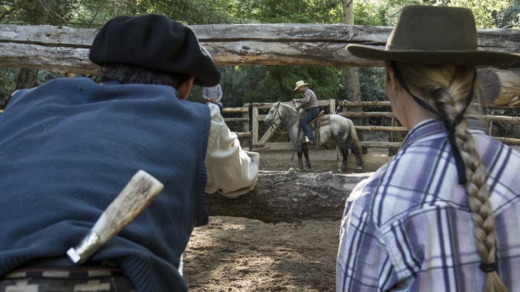 Estancia Ranquilco guest ranch in Argentina offered a colt starting clinic with Gabe Clark and Reata Brannaman Clark.