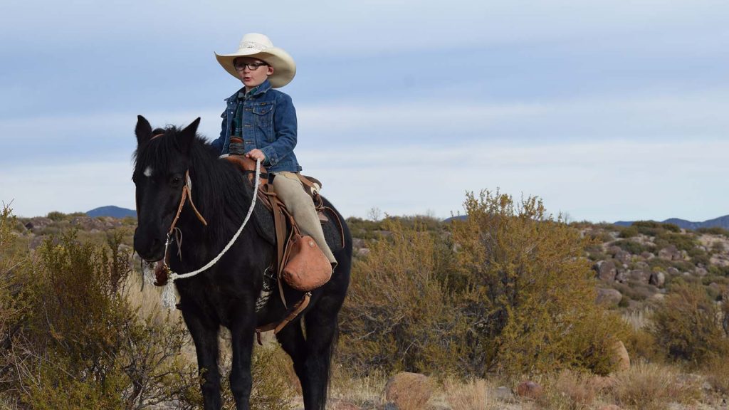 young cow catcher