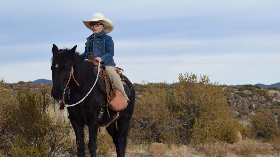 boy catching cows