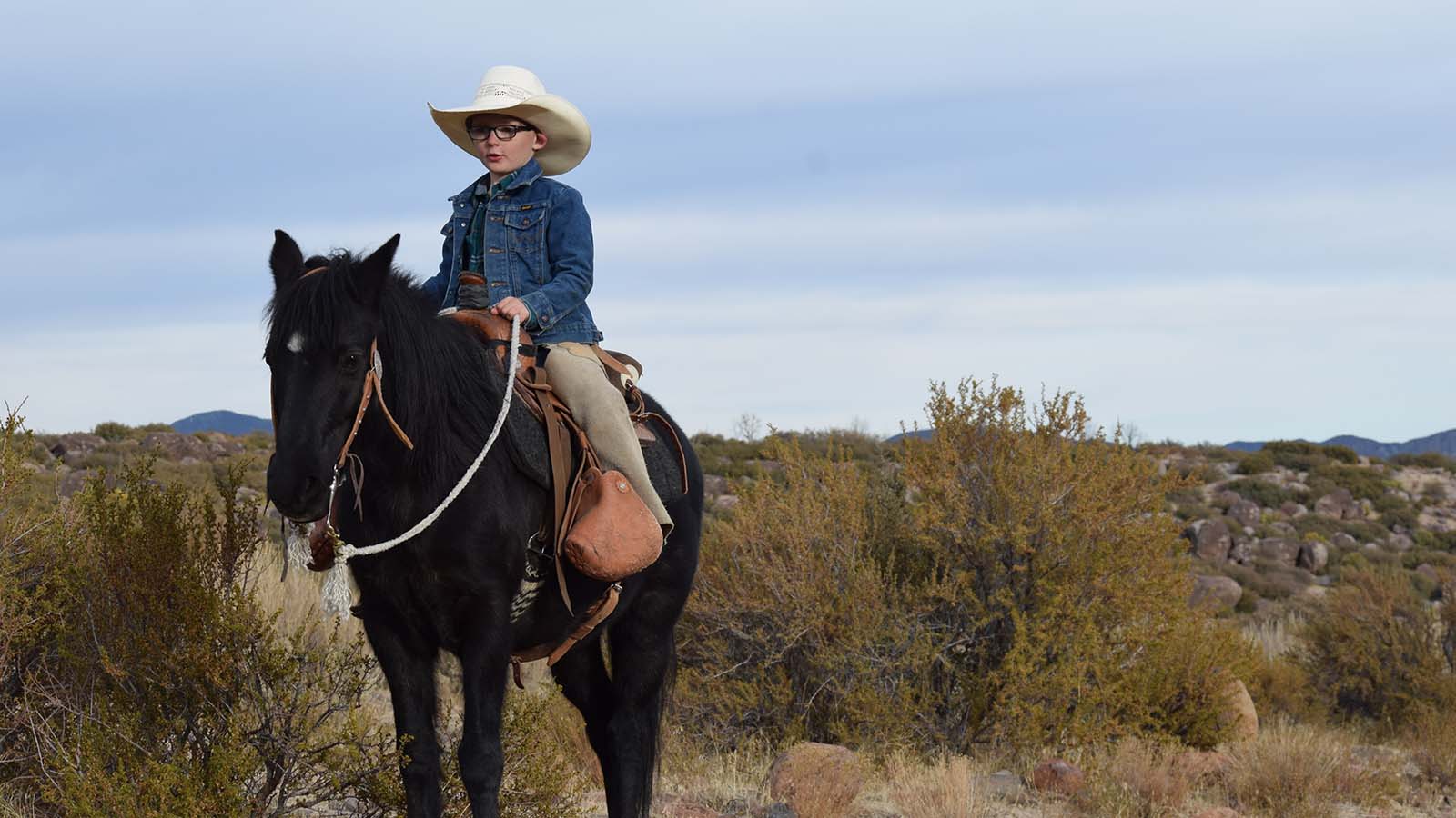 boy catching cows