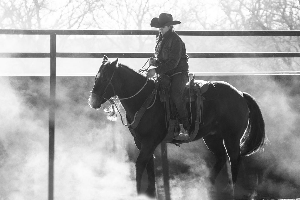 Horseman riding in the dust